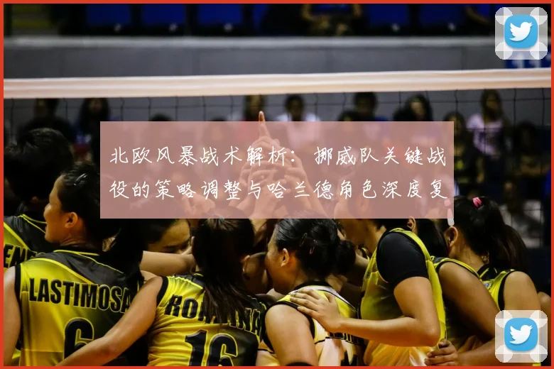 北欧风暴战术解析:挪威队关键战役的策略调整与哈兰德角色深度复盘